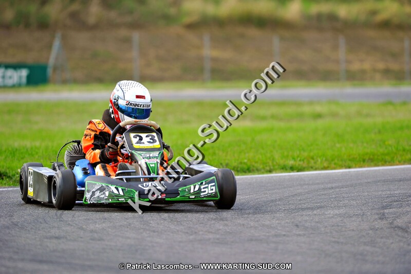 DSC_ (797).jpg